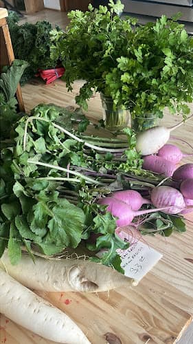 Rooted In Season Market
