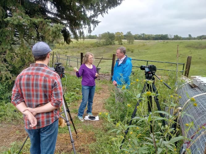 Prairie Hollow Farm