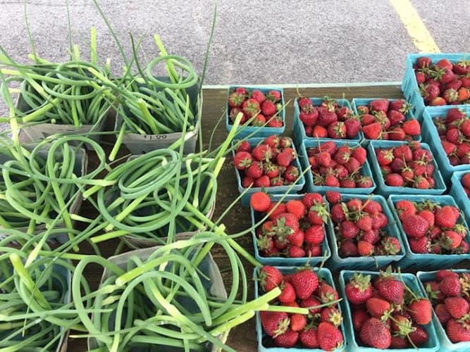 Fleckenstein Farms