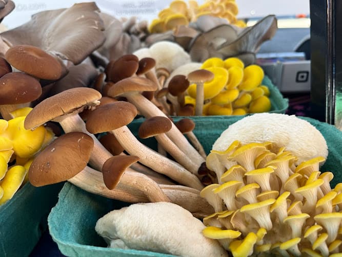 Harmony Mushroom Co.