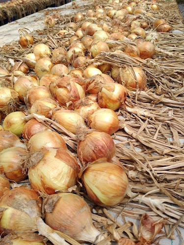 Brenckle's Organic Farm and Greenhouse