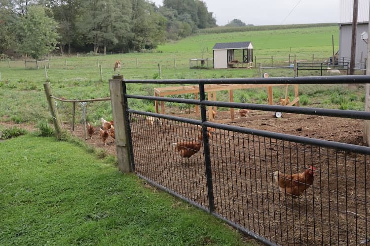 Farmstead Enterprise