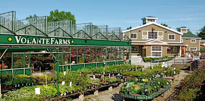 Volante Farms