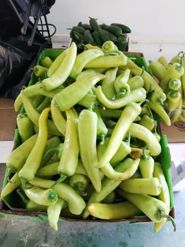 Lynch Produce & Greenhouse