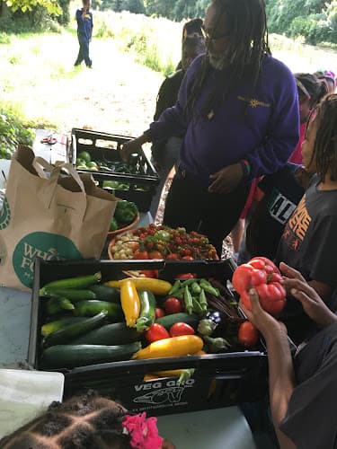D-Town Farm (DBCFSN)