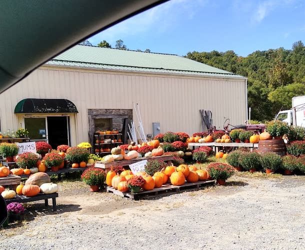 Woods Farm