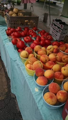 Country Farmers Market