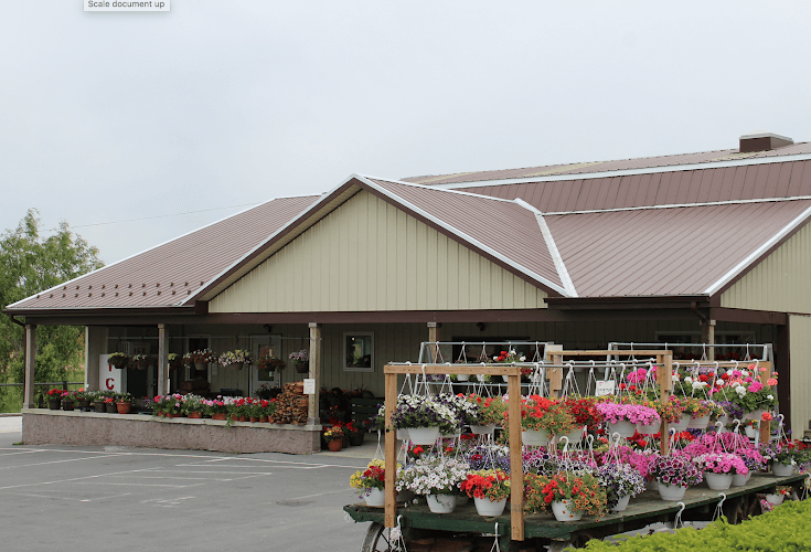 Route 10 Roadside Market