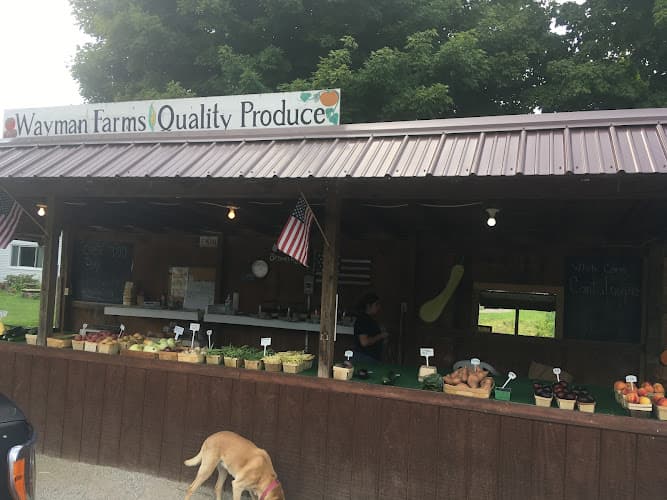 Wayman Farms