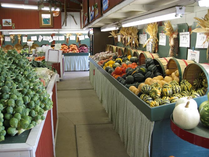 Witte's Vegetable Farm LLC
