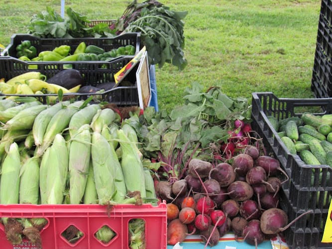 Stefanfarms