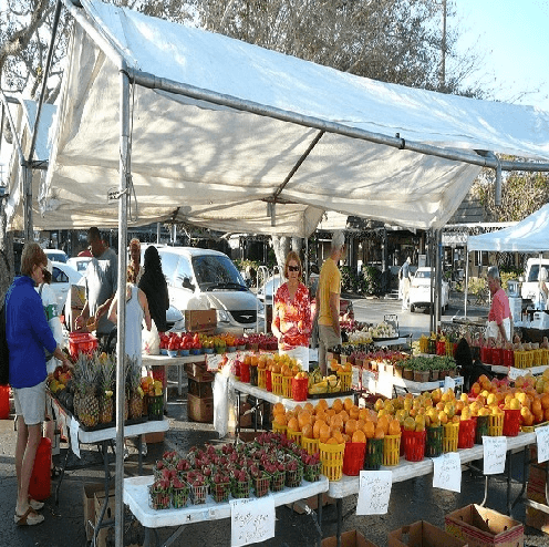 Siesta Key Farmers Market