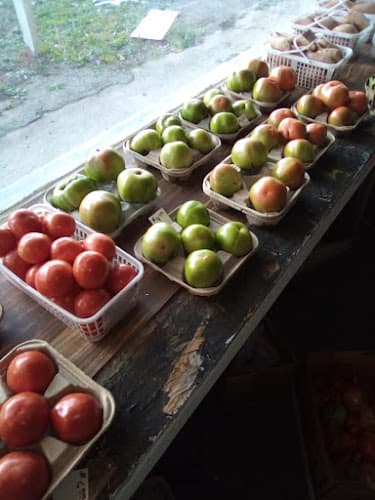 Alabama Market and Trade Day
