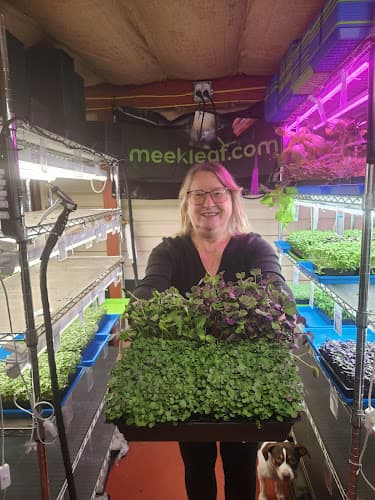 Meekleaf.com