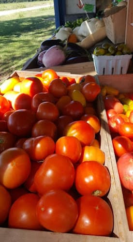 Wisely Greenhouse & Produce