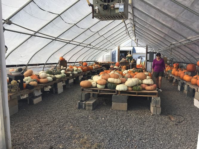 Miller Farms Market