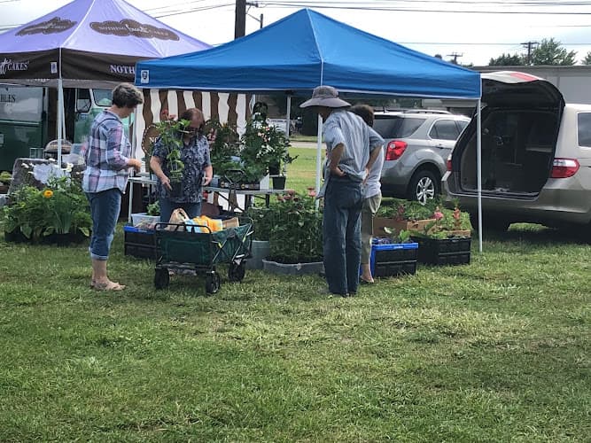 Shelby Farmers Market & More