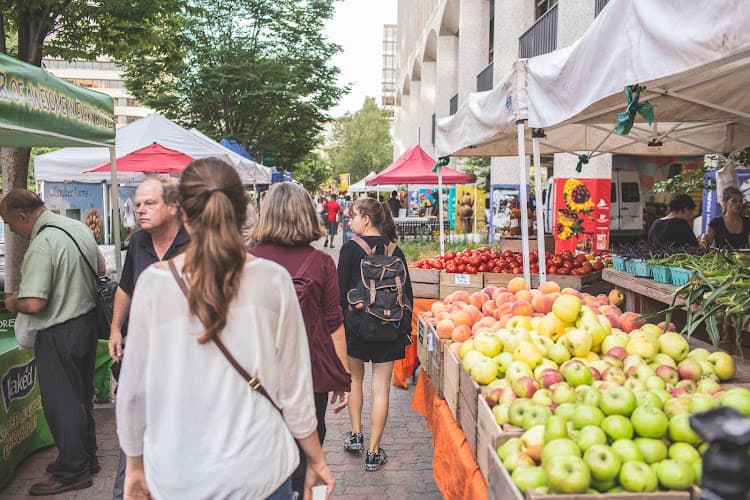 FRESHFARM Crystal City Market