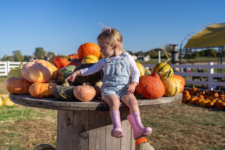 Big John's Farm