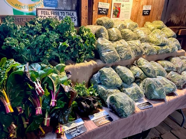 Holly Hill Farm