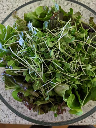 Rochester Microgreens