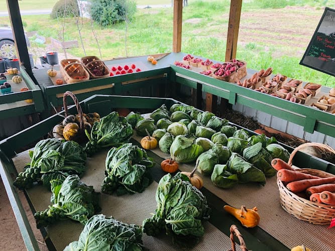 Atlanta Harvest