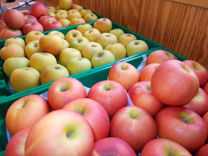 Reid Orchards