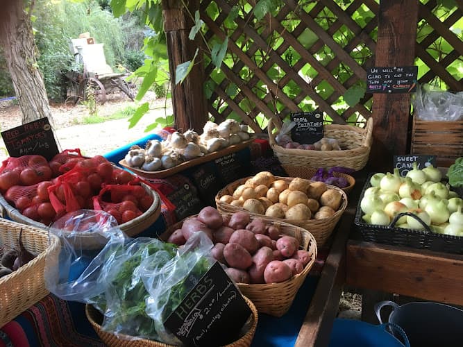 Zweck's Fresh Vegetables & Flowers