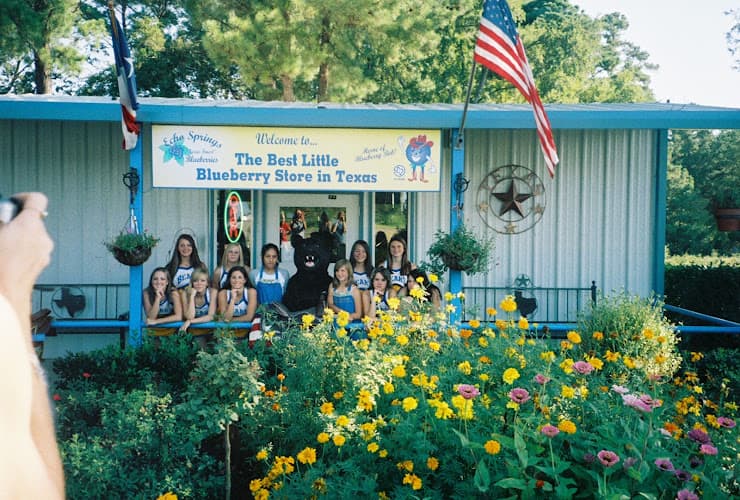 Echo Springs Blueberry Farm