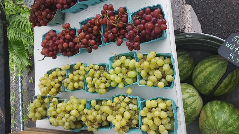 Farmer's Basket