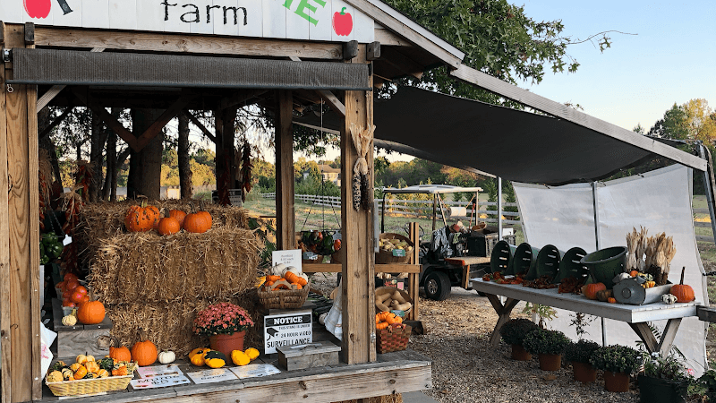 Free Time Farm