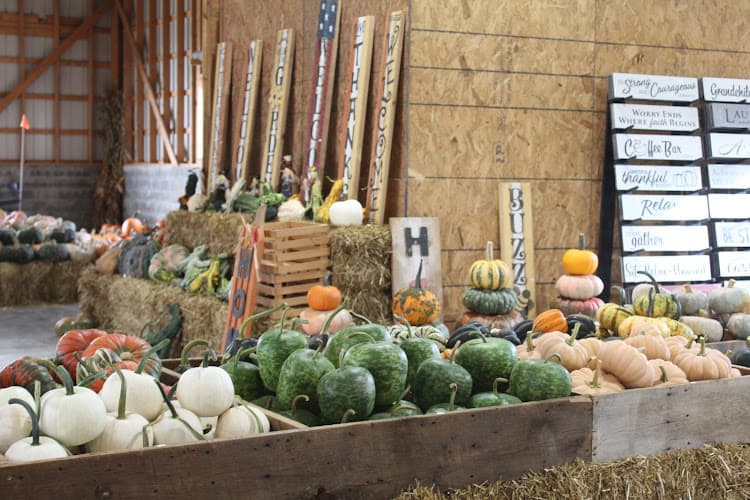 Turtle Hill Farm Market