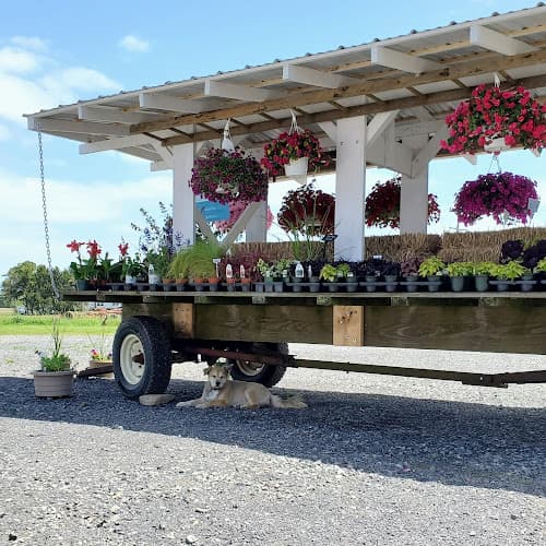SHEMPS Farm