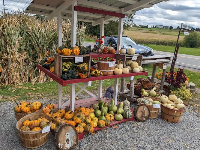Willard Farm