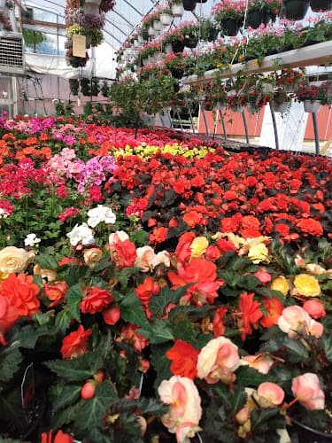 654 Farm Market