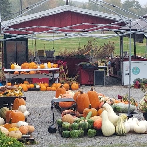 Reimann's Farm Market