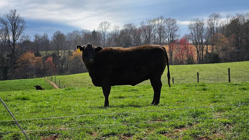 Lewis Family Farm, Appomattox VA