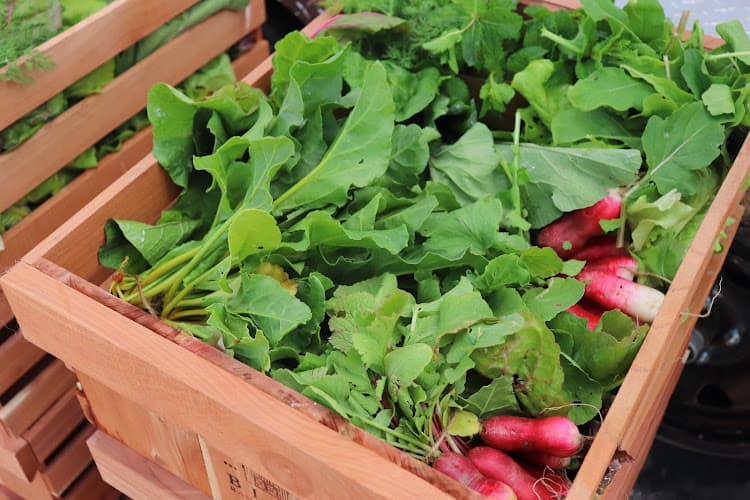 Blue Ranch Farms