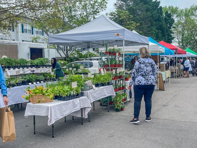 Old Beach Farmers Market