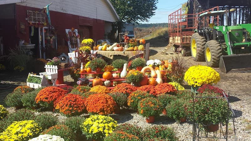 Country Fresh Farms
