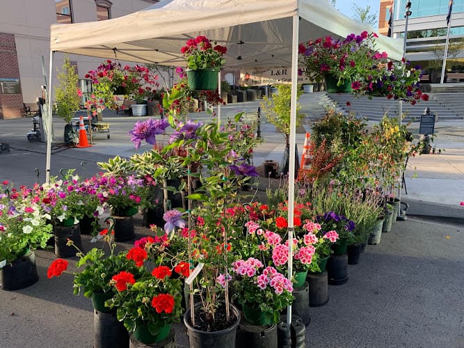 L&R Nursery, Inc