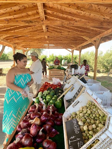 Sweet Girl Farms