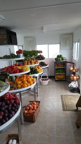 Youmans Touch Wellness of Tobyhanna township, inc