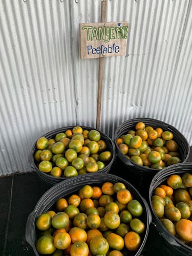 Meriwether Farms & Citrus Groves (NOTUPICK)
