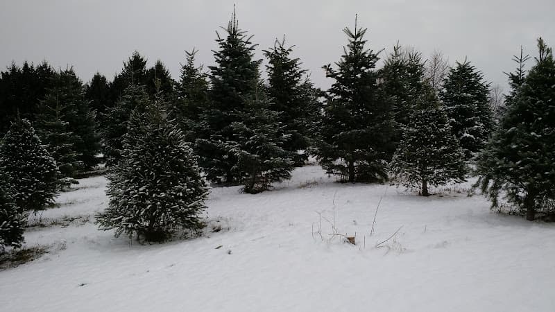 Hellaby Hill Farms
