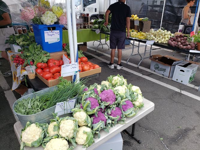 Down to Earth Larchmont Farmers Market