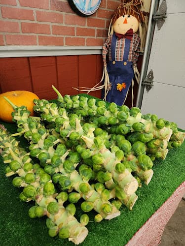 Jamminjoes Farm Market