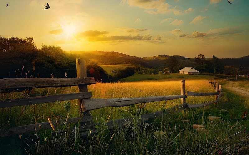 Distribuidora Su Rancho LLC