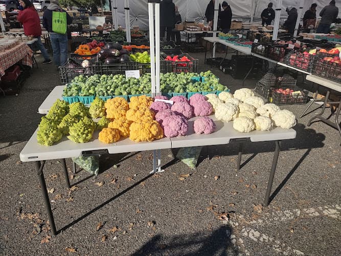 Farmers Market