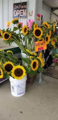 Farmers Market